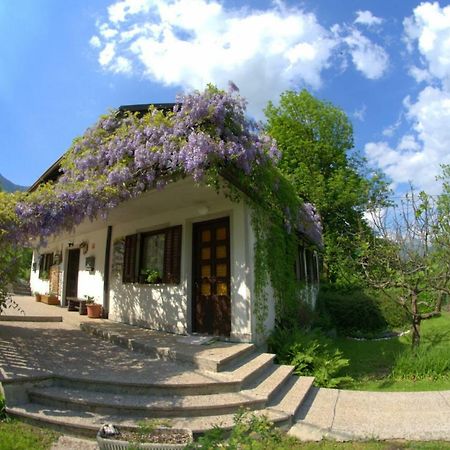 Apartma Bel Zaga Exterior photo