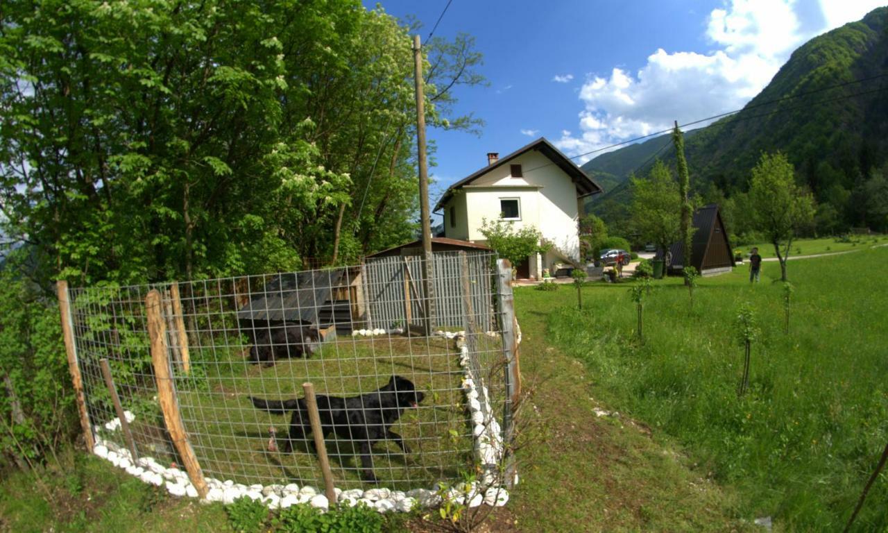 Apartma Bel Zaga Exterior photo